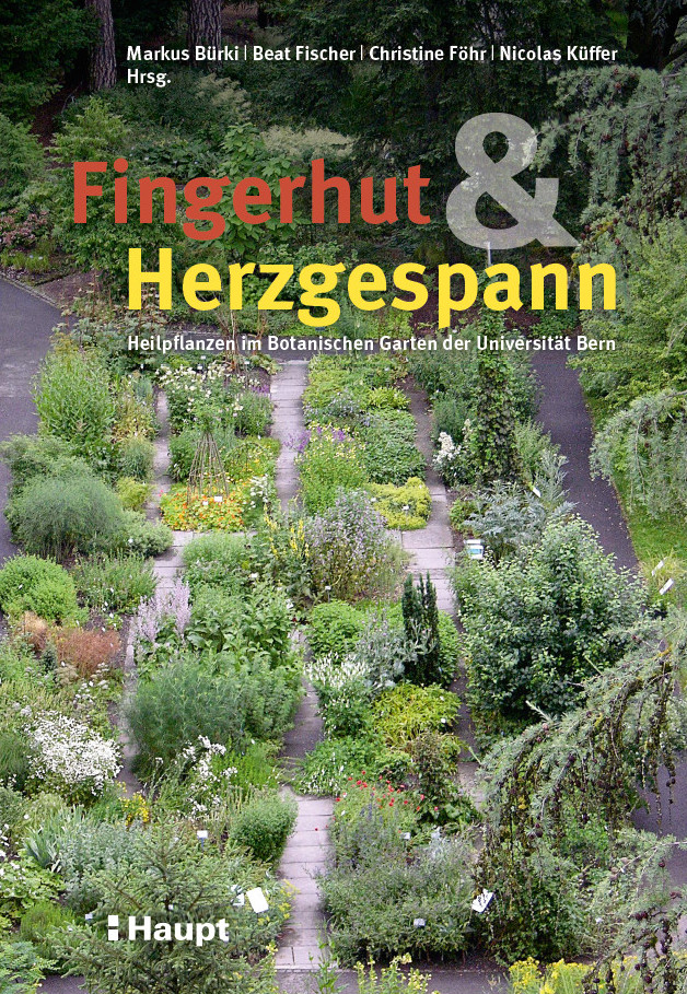 Fingerhut Herzgespann